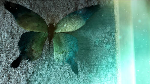 Image de synthèse représentant un papillon étrange sur un mur.