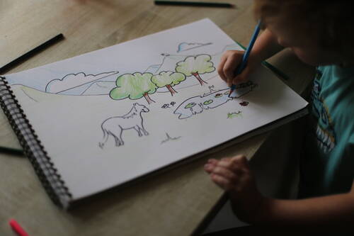 A kid drawing a landscape of nature