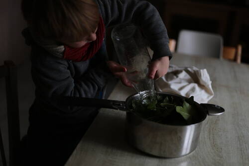 A kid pouring water on ivy in casserole