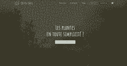 Capture d’écran de la page d’accueil de phyto-info.com. Le slogan indique ” Les plantes en toute simplicité !” 
