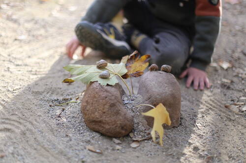 A kid building a castle for snails with some rocks and leaves