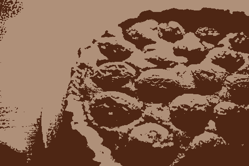 Image pixelisée : Une tarte aux abricots